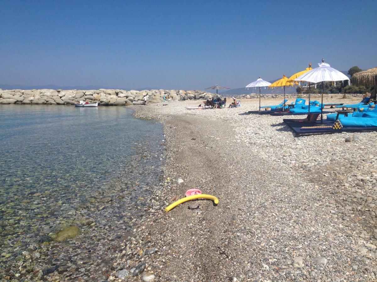 דירות Akrogiali Agali 2 Maizonette Front Of The Sea מראה חיצוני תמונה